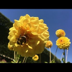 Meet your Posher, Dm